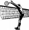 logo voley